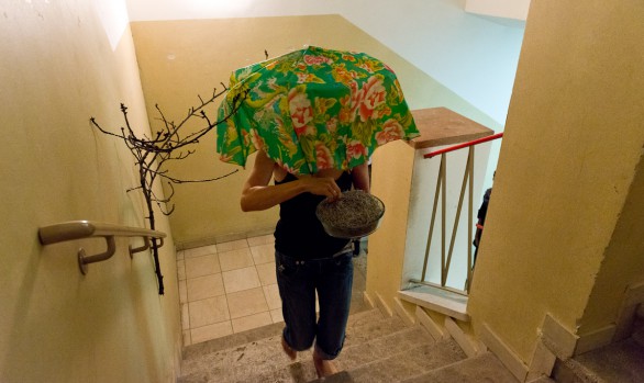 Austria Colonia 3 | Vienna