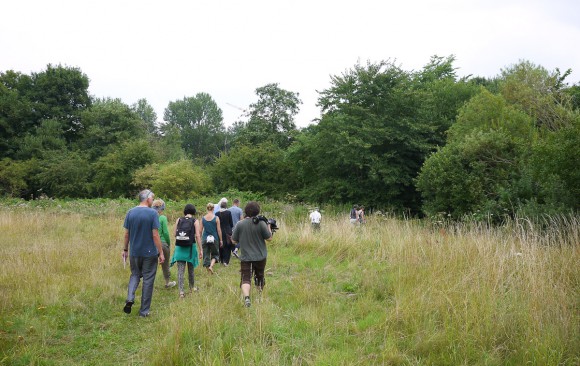 Brise 2 - day 3 | Flensburg 