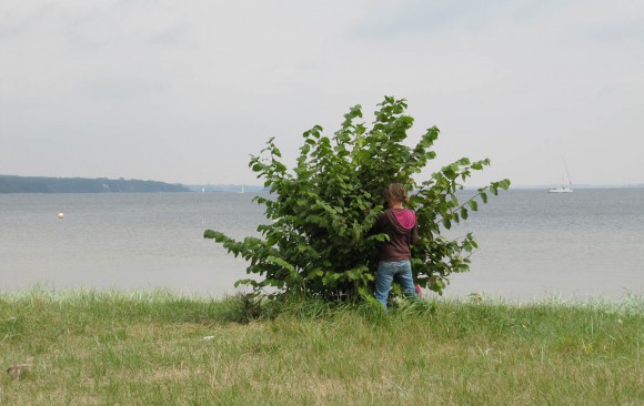 Brise 1 - day 3 | Flensburg