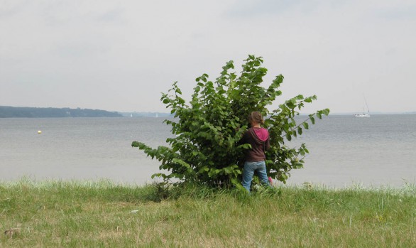 Brise 1 - day 3 | Flensburg