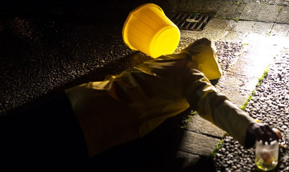 Bel-Esse Exchange - day 4| Derry 