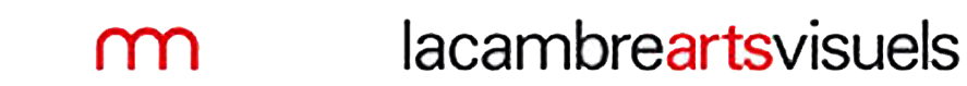 lacambreartsvisuel_ACTUS copy