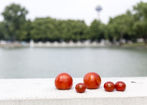 EN ROUTE | Cologne | 19.05.2018