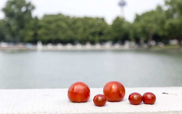 EN ROUTE | Cologne | 19.05.2018