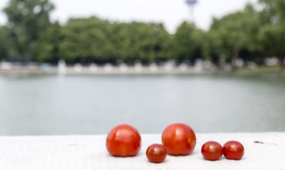 EN ROUTE | Cologne | 19.05.2018