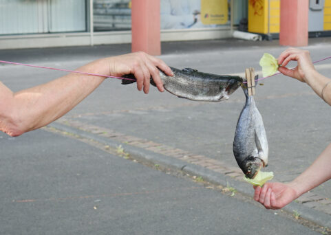 First meeting - Open Source | 20.06.2020